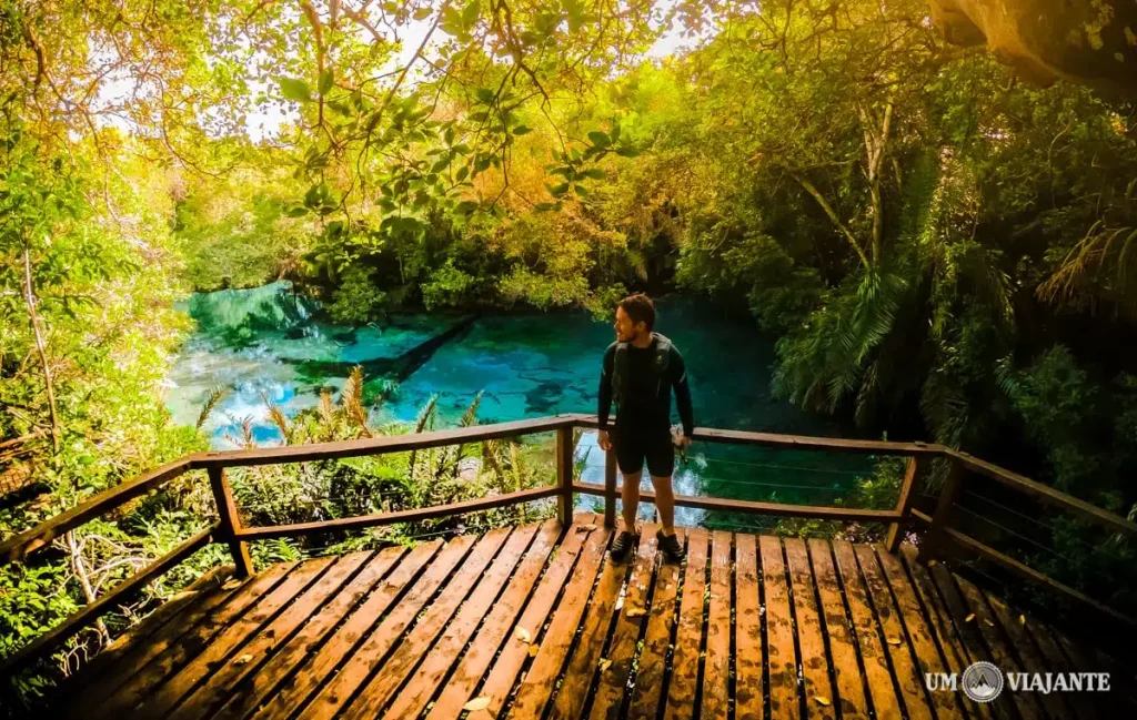 Top 10 Passeios de Bonito que Estão no Seu Instagram – Mas com Data Marcada